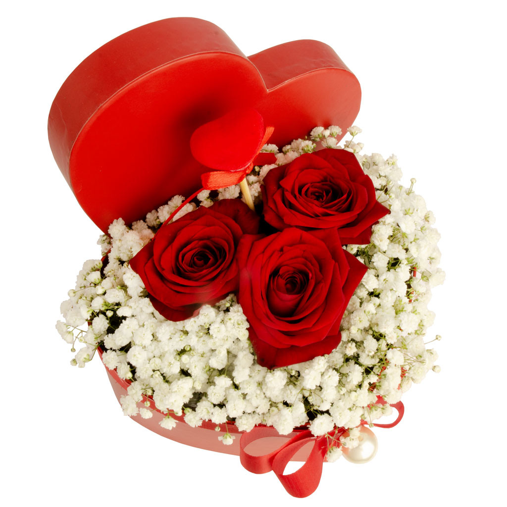 Cuore rose rosse orsacchiotto bianco