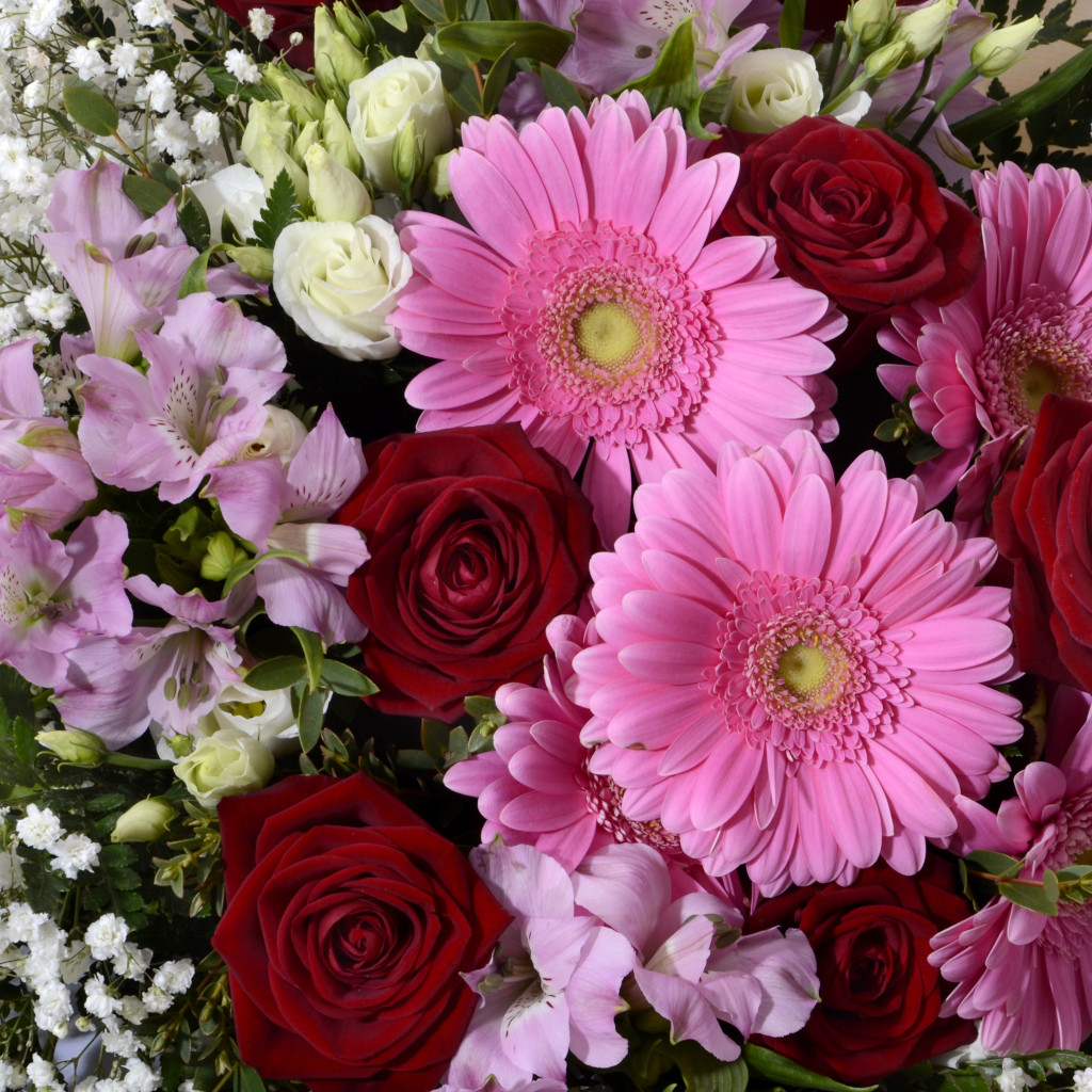 Bouquet Cannaregio – Gerbere Rosa e Rose Rosse a Domicilio a Venezia